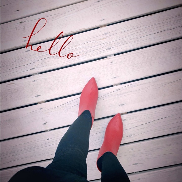 Meet your Posher, Irit - Picture 1 of 1